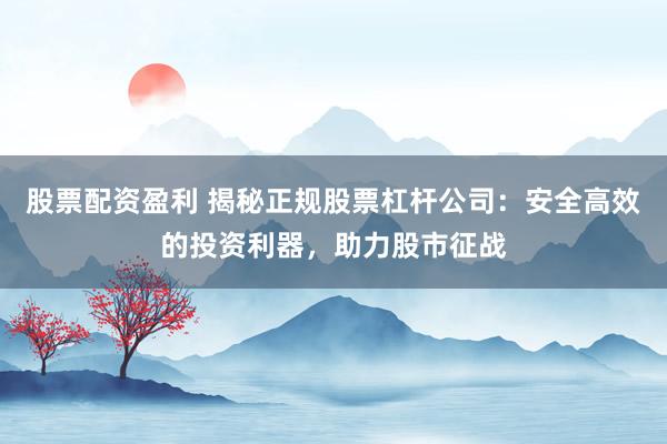 股票配资盈利 揭秘正规股票杠杆公司：安全高效的投资利器，助力股市征战