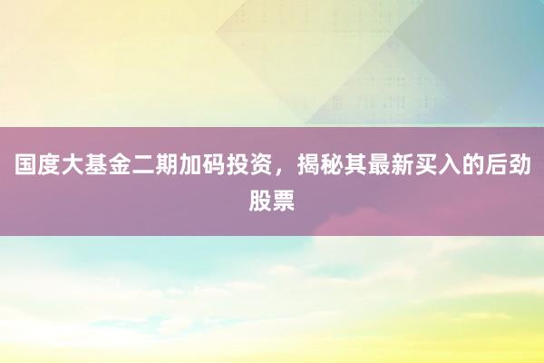 国度大基金二期加码投资，揭秘其最新买入的后劲股票