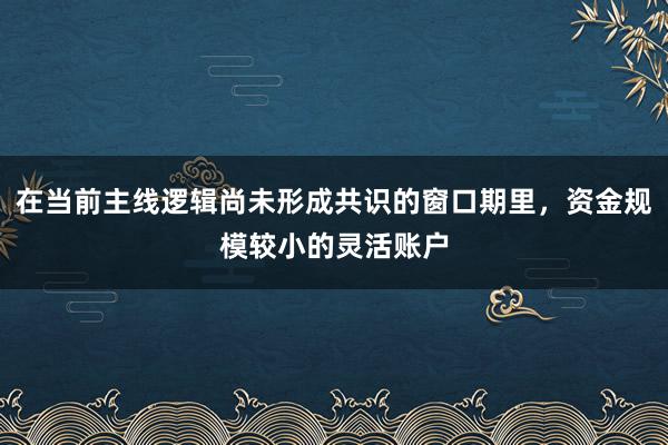 在当前主线逻辑尚未形成共识的窗口期里，资金规模较小的灵活账户