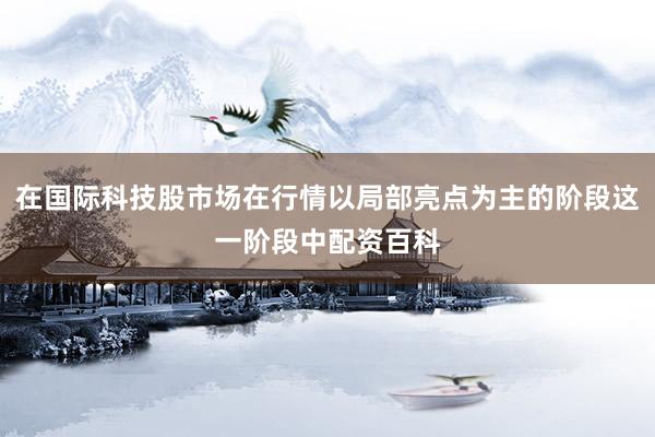 在国际科技股市场在行情以局部亮点为主的阶段这一阶段中配资百科