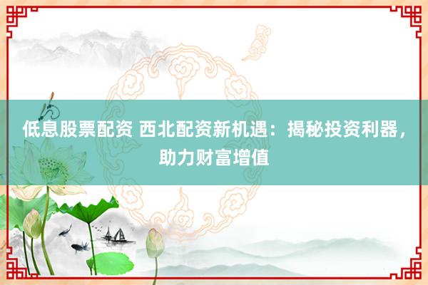 低息股票配资 西北配资新机遇：揭秘投资利器，助力财富增值